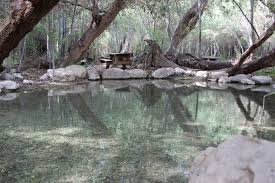 عين الفشخة | موسوعة التراث الفلسطيني