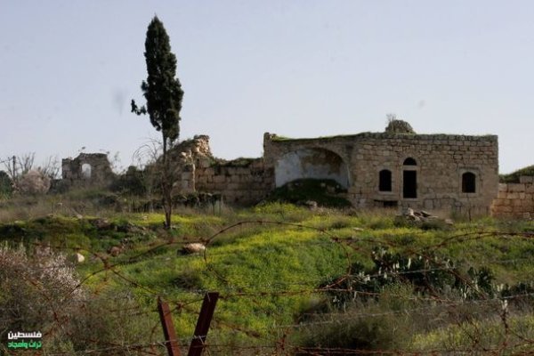 مسجد العمري في بيت جبرين | موسوعة التراث الفلسطيني
