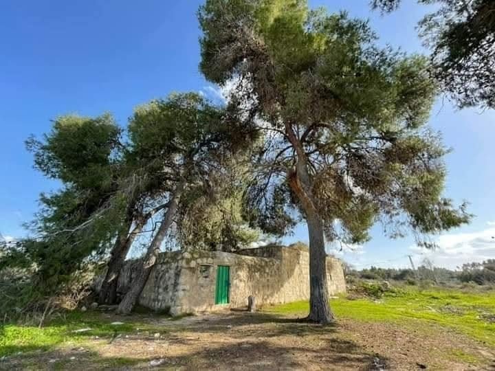 مسجد ومقام الصحابي تميم الداري | موسوعة التراث الفلسطيني