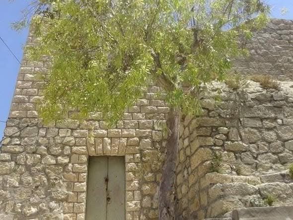 موسوعة التراث الفلسطيني | مسجد سنيريا القديم (مقام عيسى السنيري)